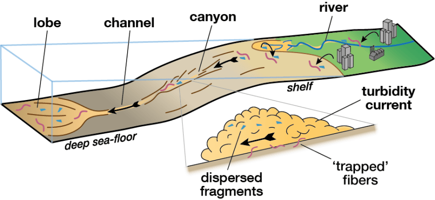 microplastics deep seafloor NOC